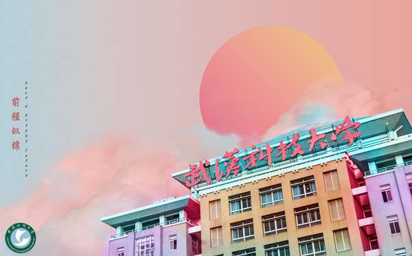 2020年武汉科技大学成人高等学历教育招生简章