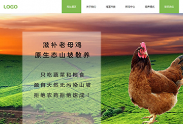 网站建站模板:原生态母鸡散养