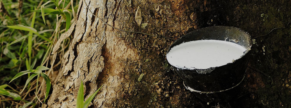 介绍一下口碑很好的泰国乳胶品牌-Nittaya妮泰雅